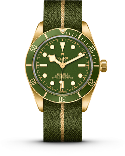 M79018V 0001 additional