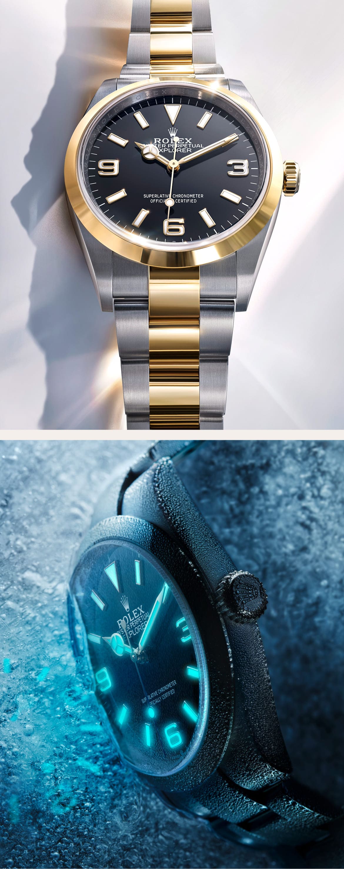 rolex explorer watches - Chang Ein Hong