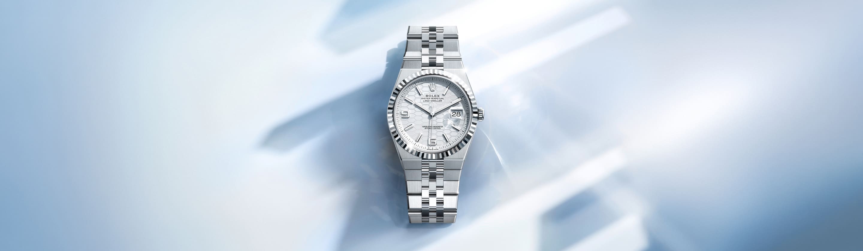 rolex land-dweller watches - Chang Ein Hong