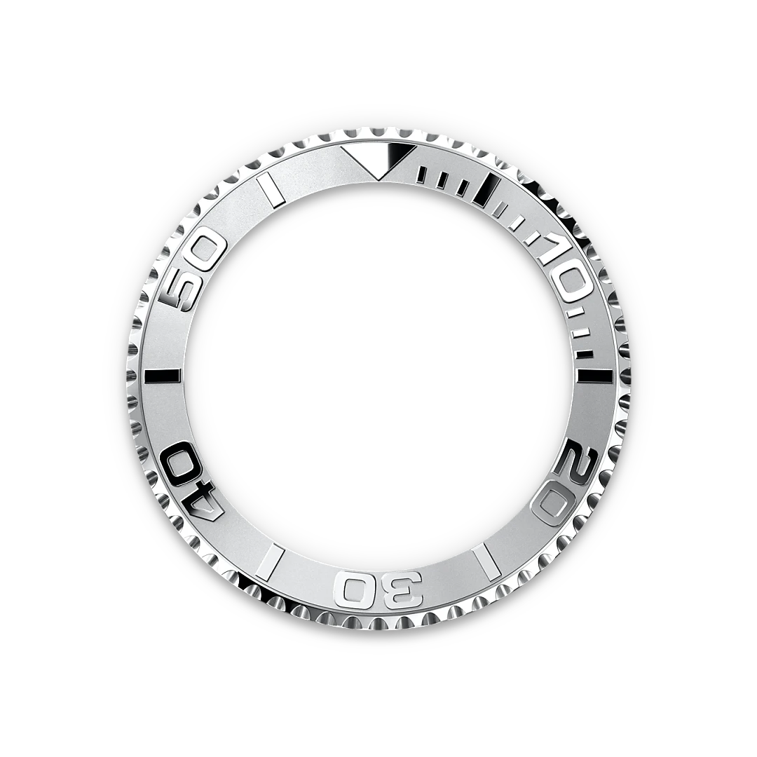 Bidirectional Rotatable Bezel - Chang Ein Hong