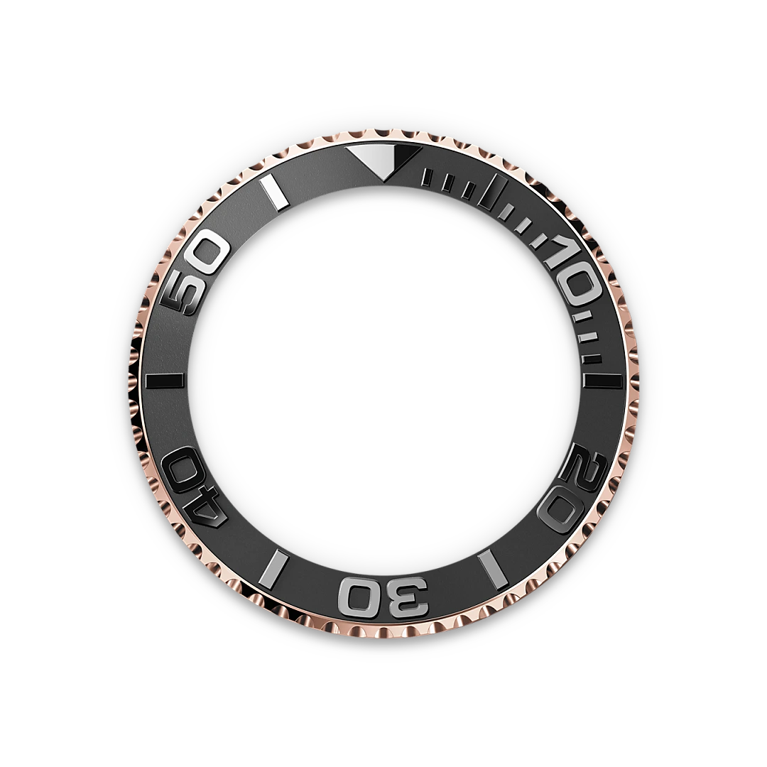 Bidirectional Rotatable Bezel - Chang Ein Hong