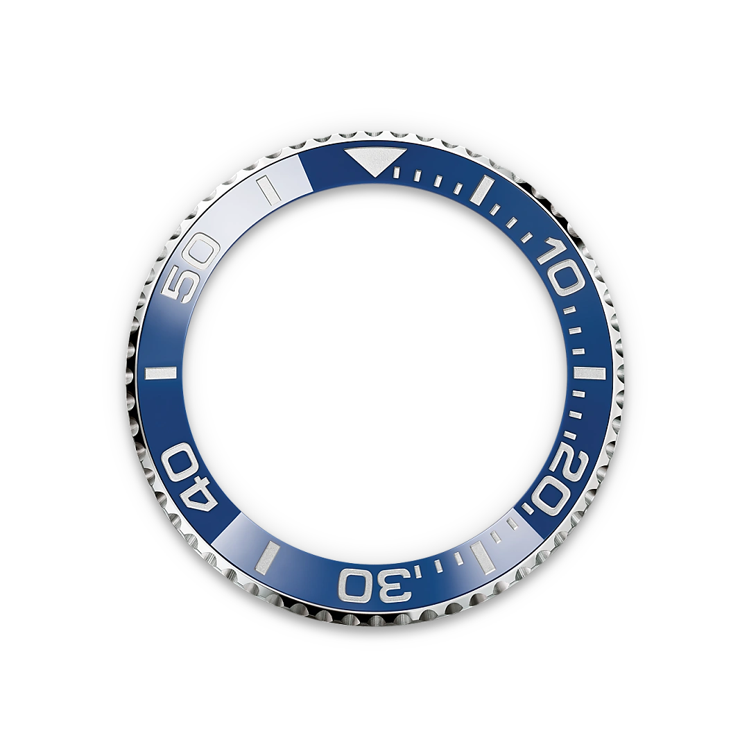 Cerachrom bezel insert - Chang Ein Hong