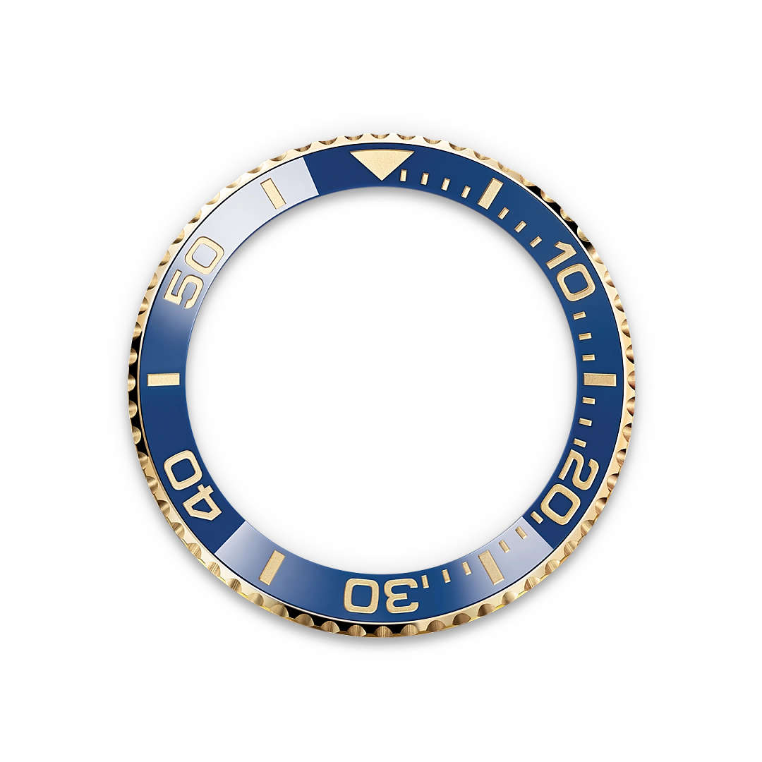 Cerachrom bezel insert - Chang Ein Hong