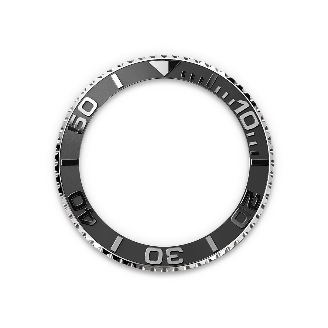 Bidirectional Rotatable Bezel - Chang Ein Hong