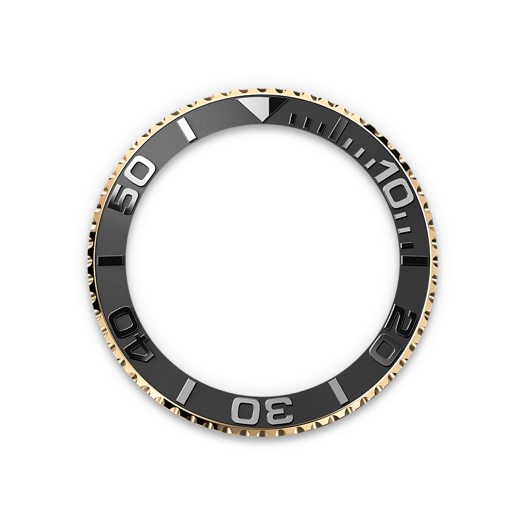 Bidirectional Rotatable Bezel - Chang Ein Hong