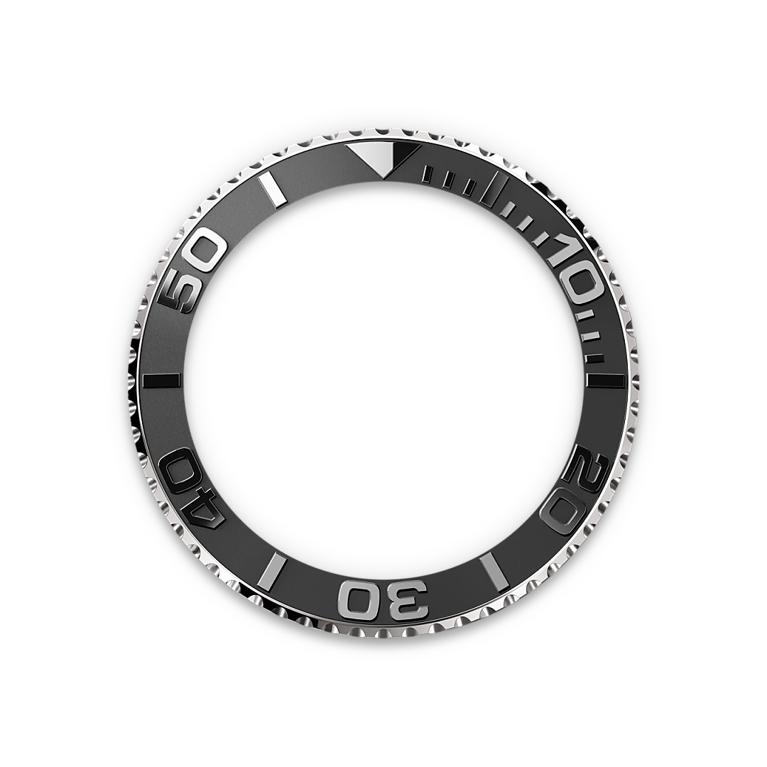 Bidirectional Rotatable Bezel - Chang Ein Hong