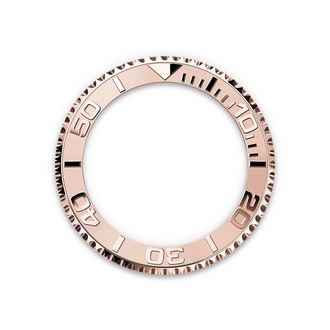Bidirectional Rotatable Bezel - Chang Ein Hong