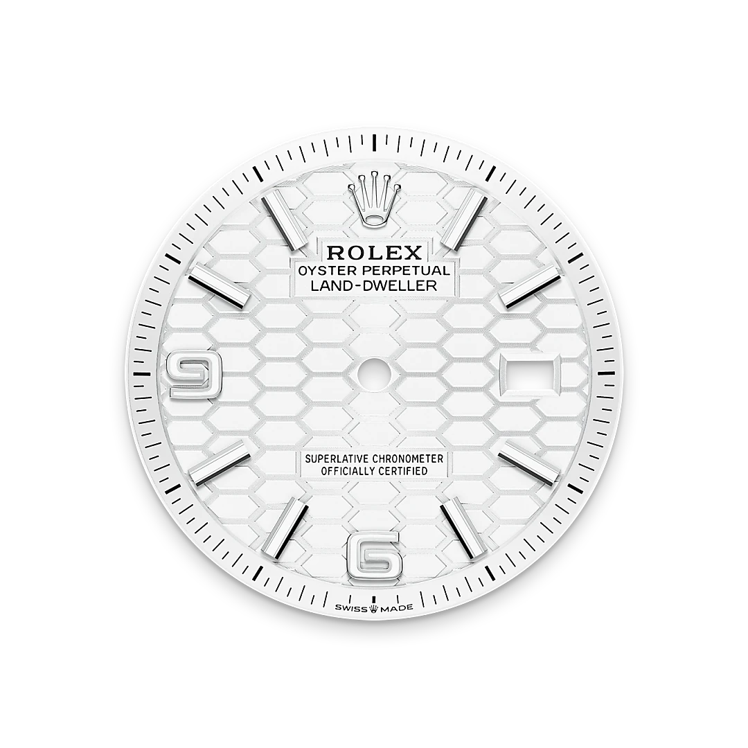 Intense white dial - Chang Ein Hong
