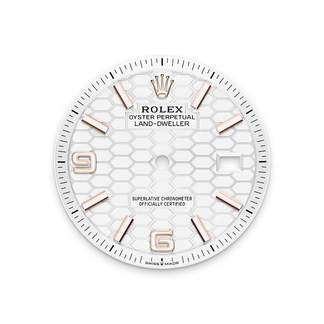 Intense white dial - Chang Ein Hong