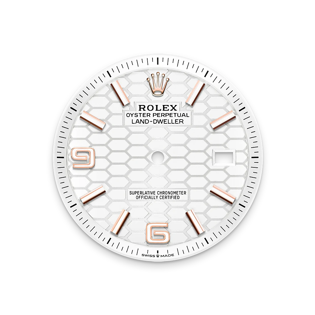 Intense white dial - Chang Ein Hong