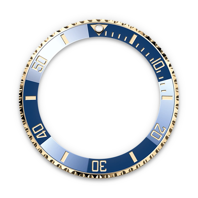 Unidirectional Rotatable Bezel - Chang Ein Hong