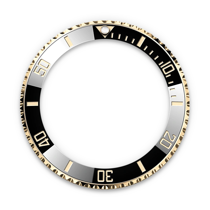 Unidirectional Rotatable Bezel - Chang Ein Hong