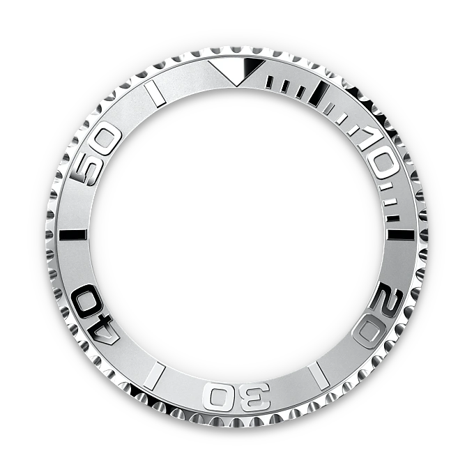 Bidirectional Rotatable Bezel - Chang Ein Hong