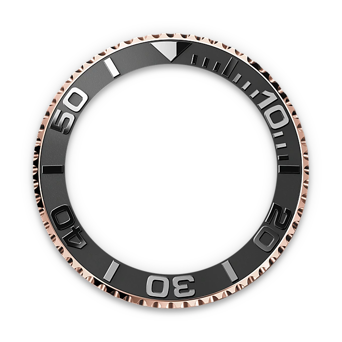 Bidirectional Rotatable Bezel - Chang Ein Hong