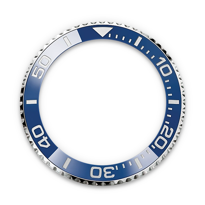 Cerachrom bezel insert - Chang Ein Hong