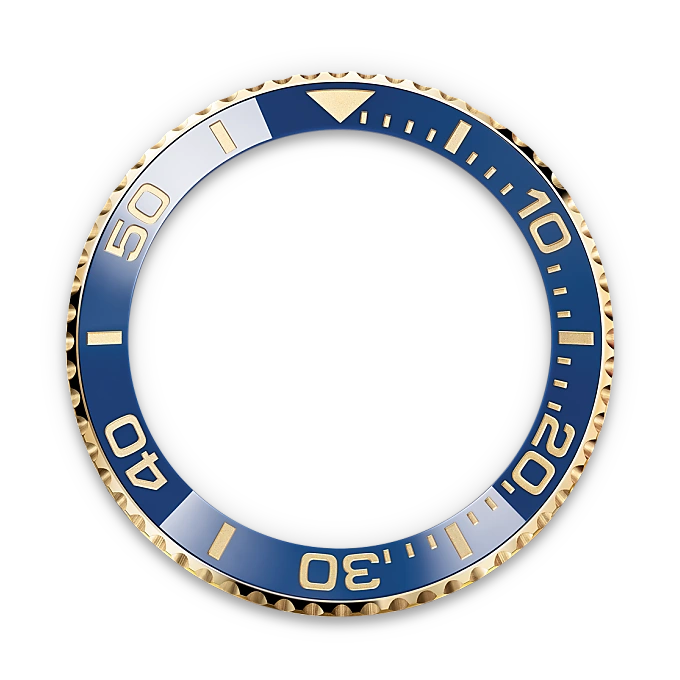 Cerachrom bezel insert - Chang Ein Hong