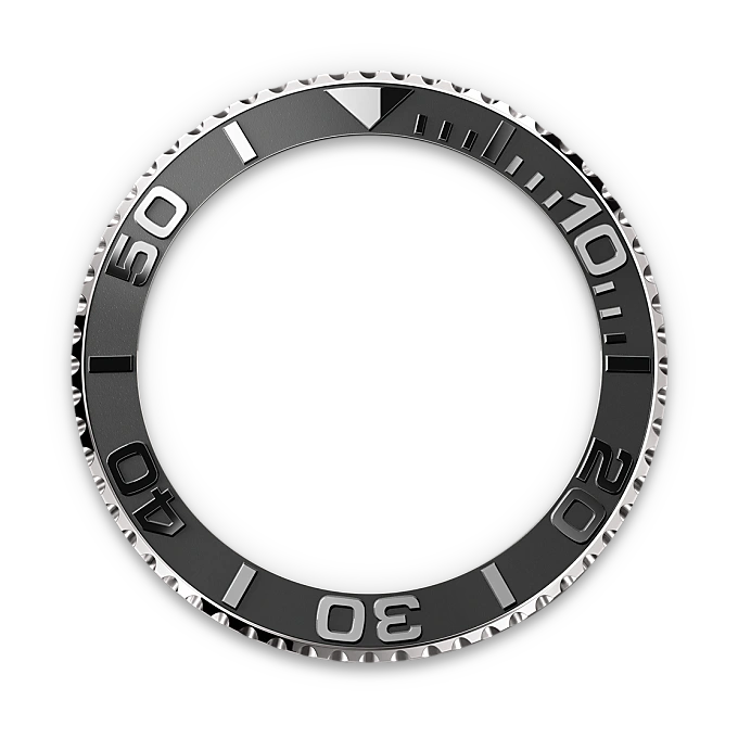 Bidirectional Rotatable Bezel - Chang Ein Hong