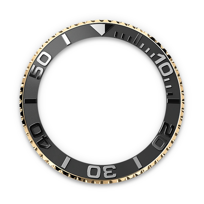 Bidirectional Rotatable Bezel - Chang Ein Hong