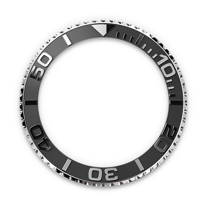 Bidirectional Rotatable Bezel - Chang Ein Hong