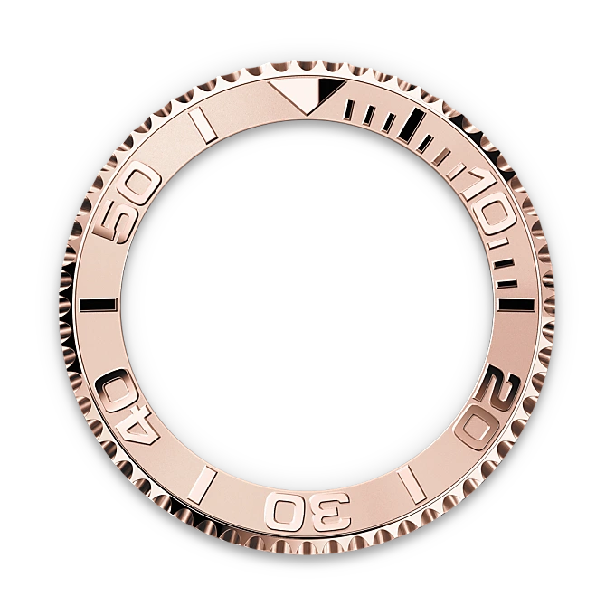 Bidirectional Rotatable Bezel - Chang Ein Hong