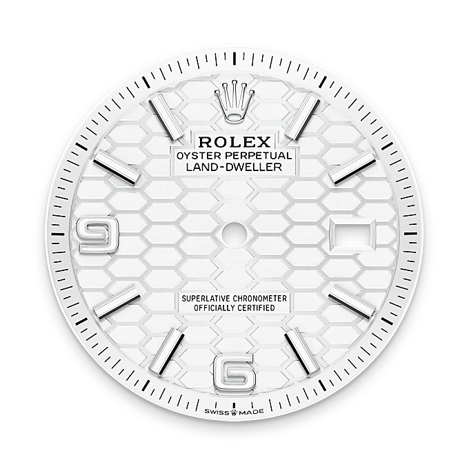 Intense white dial - Chang Ein Hong