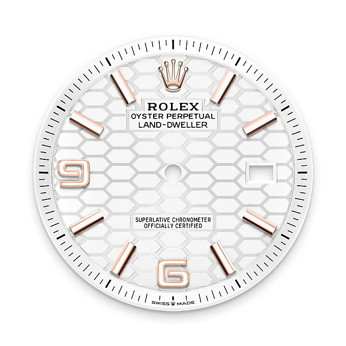 Intense white dial - Chang Ein Hong