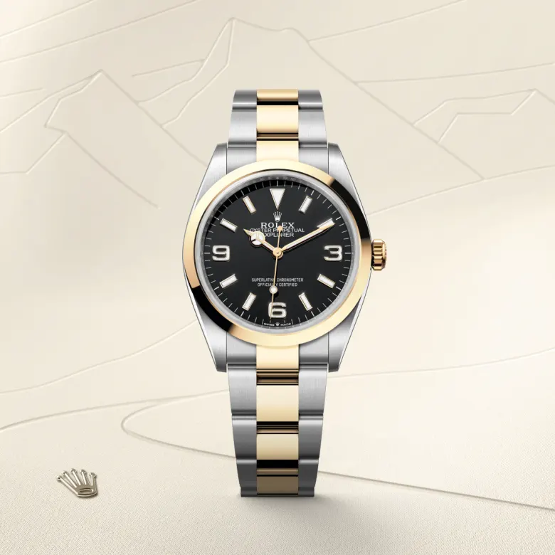 The The Rolex Explorer 36 in Oystersteel and yellow gold shown against a muted, elegant background. - Chang Ein Hong