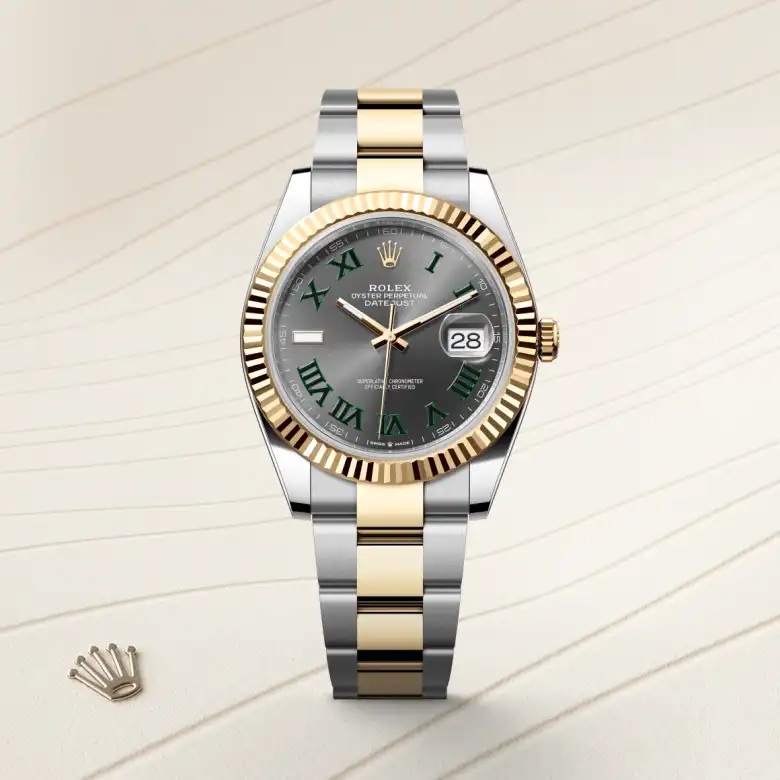 The The Rolex Datejust 41 in Oystersteel and yellow gold shown against a muted, elegant background. - Chang Ein Hong