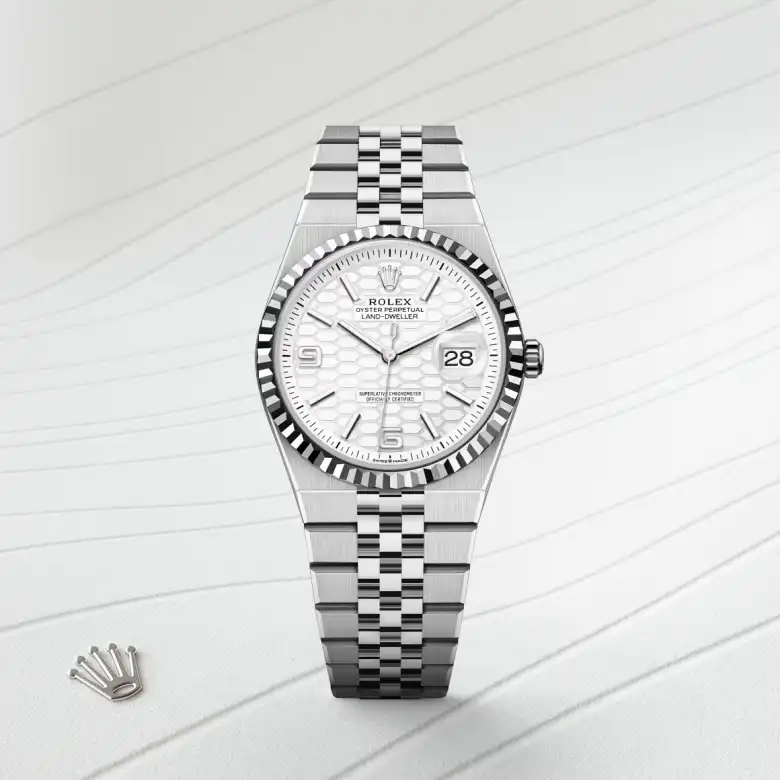 The The Rolex Land-Dweller 36 in Oystersteel and white gold shown against a muted, elegant background. - Chang Ein Hong