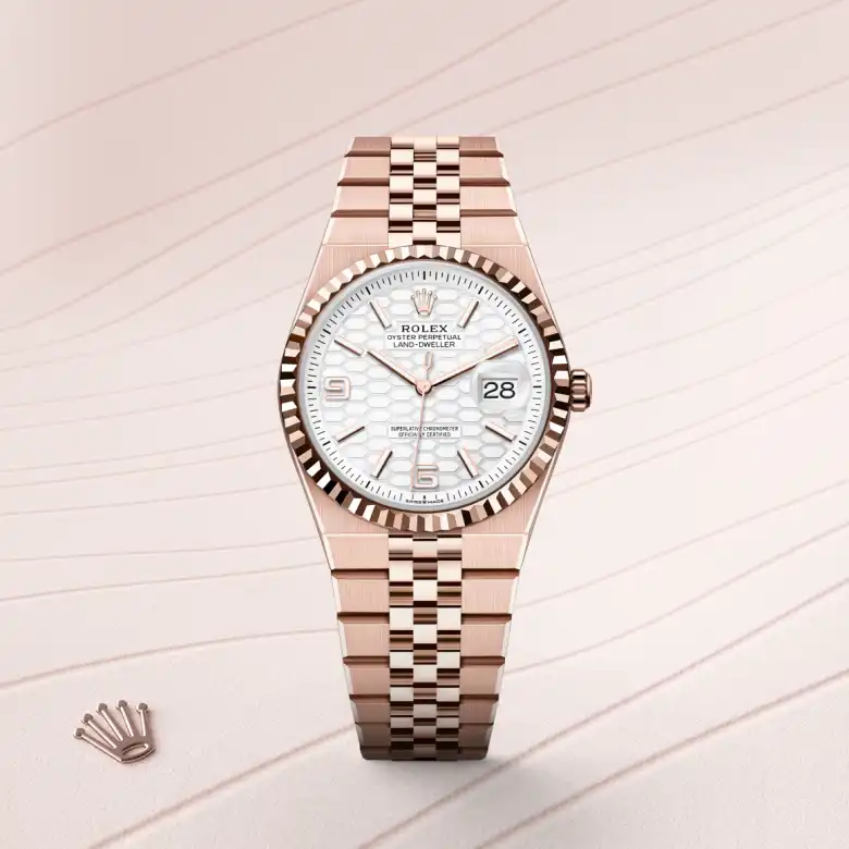 The The Rolex Land-Dweller 36 in Everose gold shown against a muted, elegant background. - Chang Ein Hong