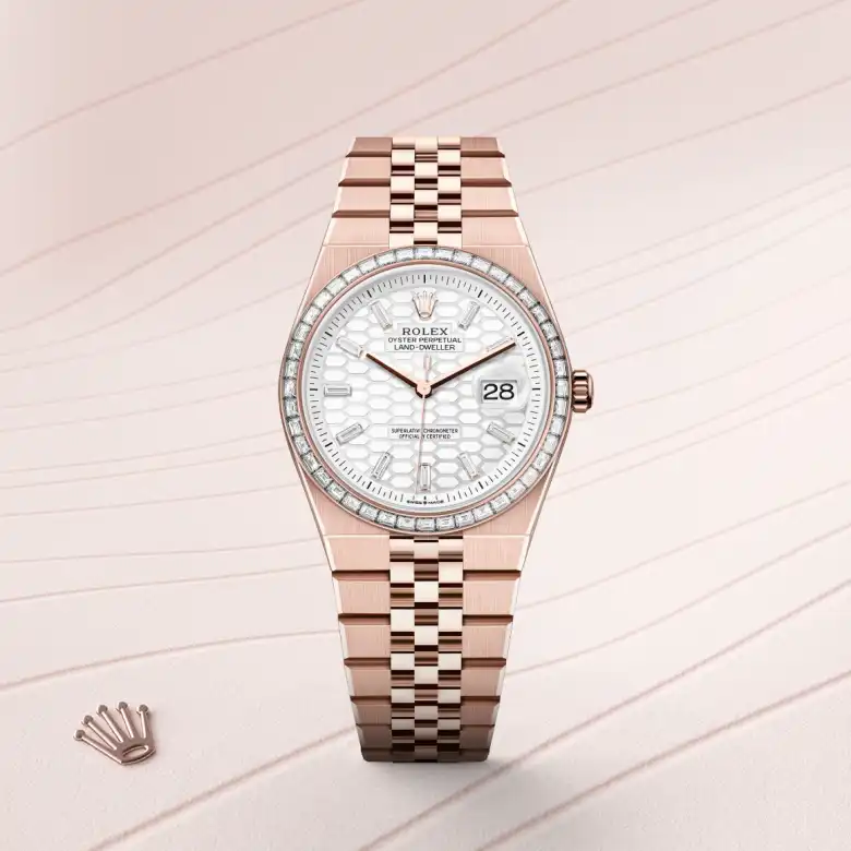 The The Rolex Land-Dweller 36 in Everose gold and diamonds shown against a muted, elegant background. - Chang Ein Hong