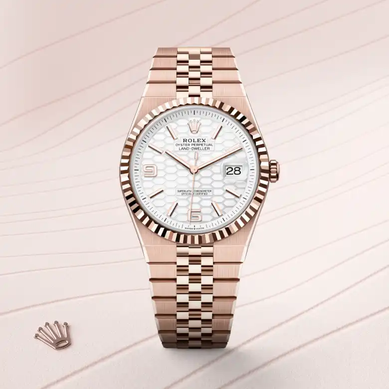 The The Rolex Land-Dweller 40 in Everose gold shown against a muted, elegant background. - Chang Ein Hong
