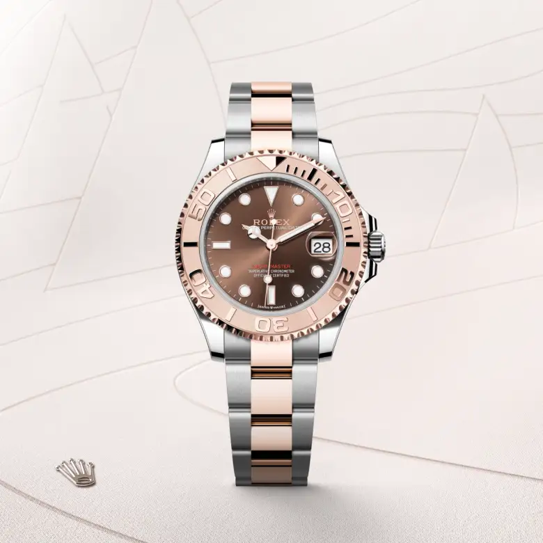 The The Rolex Yacht-Master 37 in Oystersteel and Everose gold shown against a muted, elegant background. - Chang Ein Hong