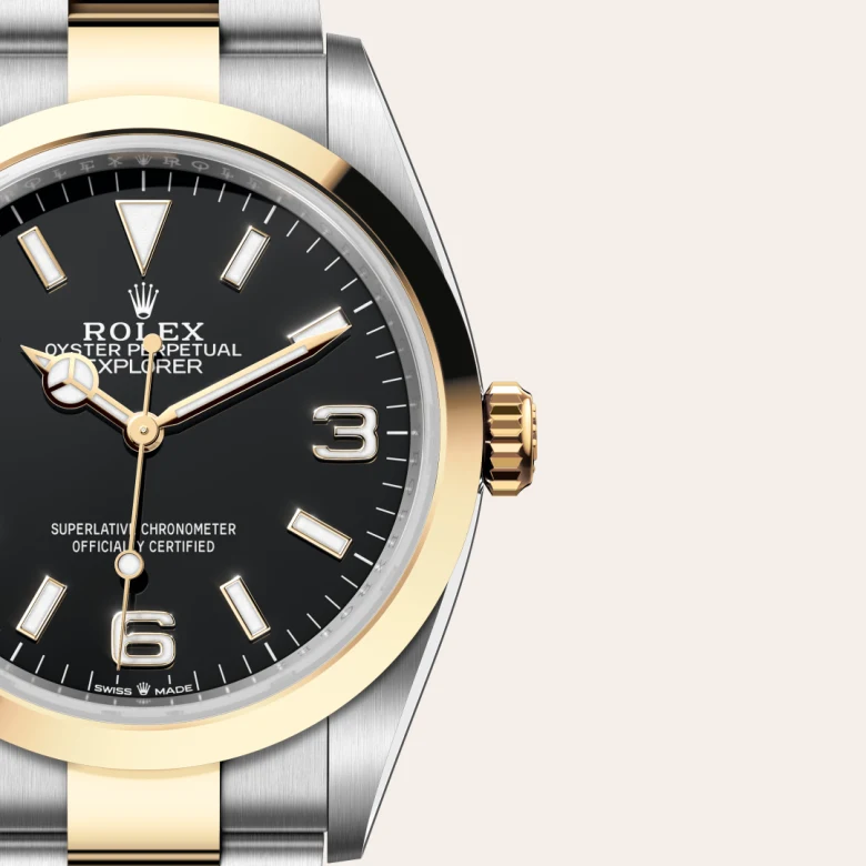 A close-up view of the The Rolex Explorer 36 in Oystersteel and yellow gold. - Chang Ein Hong