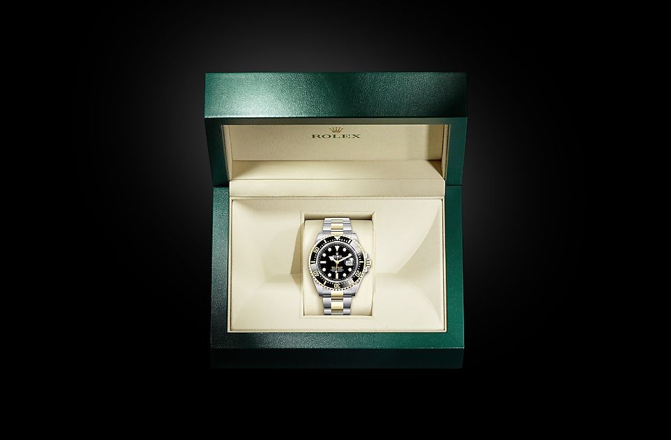 Rolex watch in box landscape